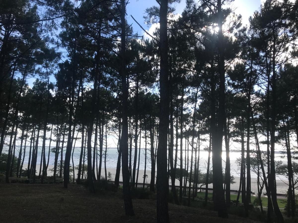 Arcachon Pereire Bord De Plage 아파트 외부 사진